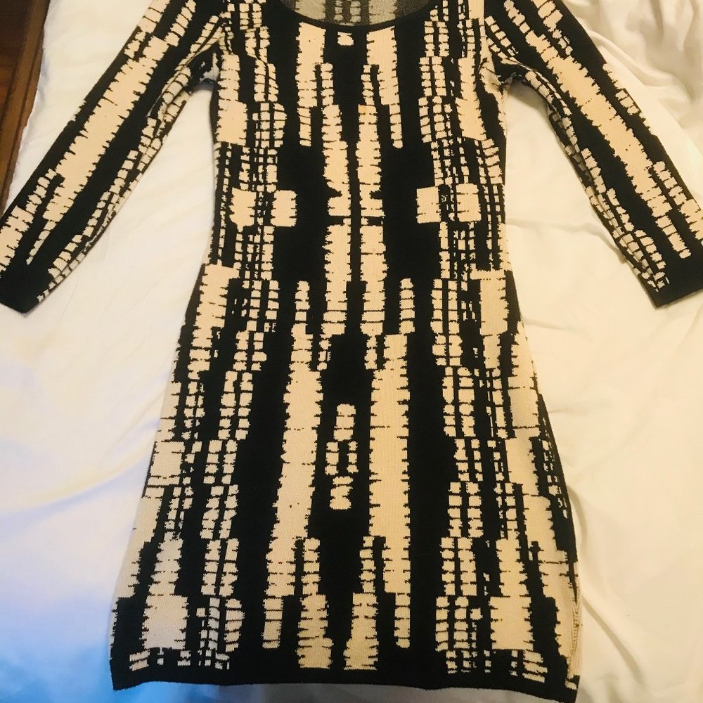 Forever 21- Black and White Bodycon Dress